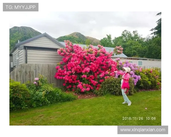 亚博视讯:最新娱乐资讯带你畅享精彩视界 亚博视讯:最新娱乐资讯带你畅享精彩视界