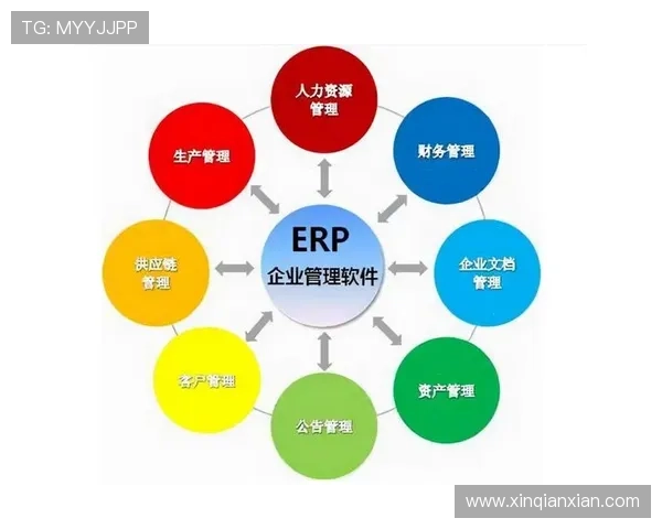 问鼎直营：直营渠道管理中的常见问题与解决方案分析
