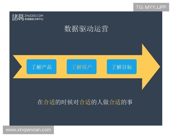 问鼎网站app：结合数据分析实现网站运营效果的全面提升