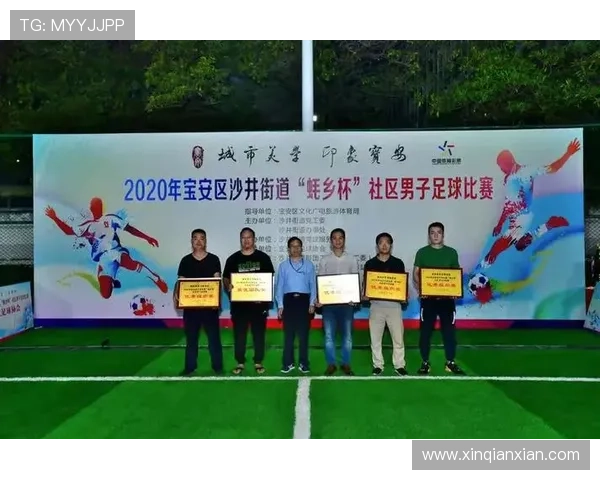 问鼎足球官网网址官方平台登录入口及安全保障措施全面解析