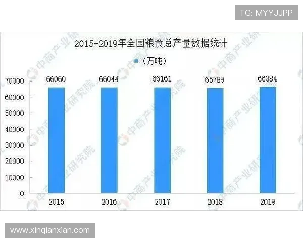 问鼎国际平台怎么样:平台安全性与资金保障措施详尽分析 问鼎国际平台怎么样:平台安全性与资金保障措施详尽分析
